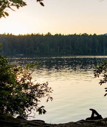 Vacker solnedgång vid sjö